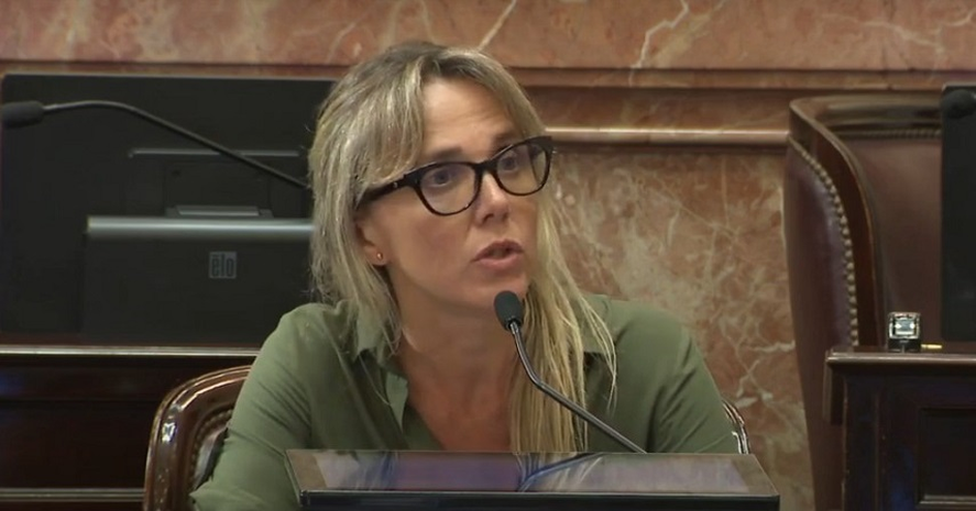 Gladys González fue la única legisladora que interlocutó con el ministro de Economíoa, Martín Guzmán, en la Comisión de Presupuesto y Hacienda