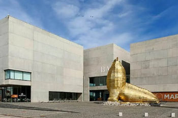 mar del plata: con mas de 70 obras, este fin de semana llega imagenes marplatenses