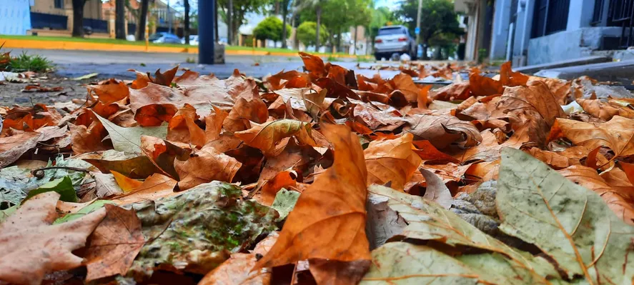 Tiempo frío en la provincia de Buenos Aires