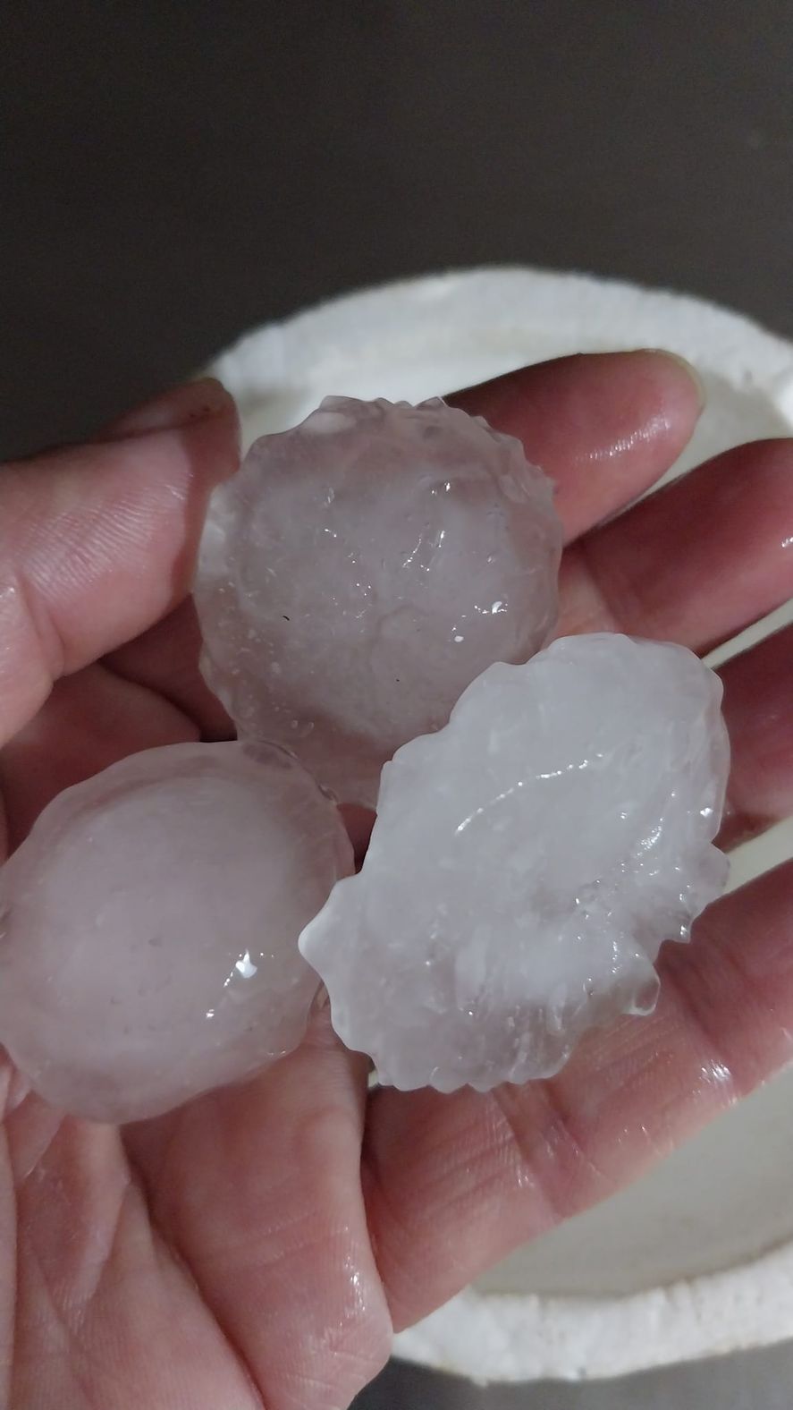 Granizo en Gral. Rodríguez.