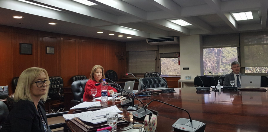 La diputada Graciela Caamaño integra del Consejo de la Magistratura