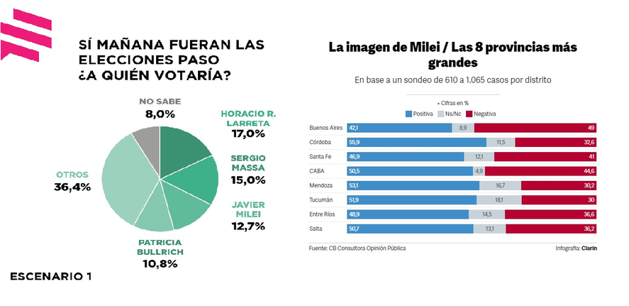 Encuestas: el fenómeno Javier Milei en números