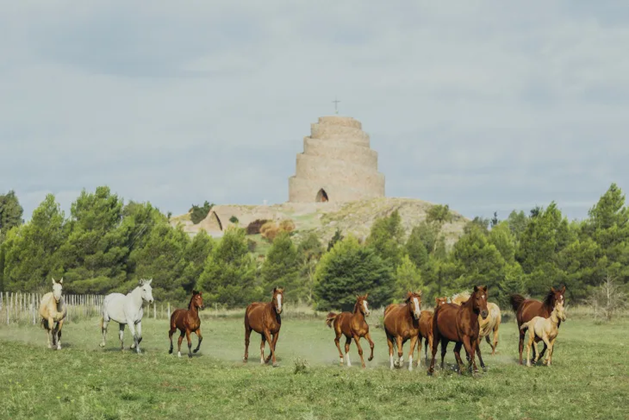 La Torre del Milenio, en Puan