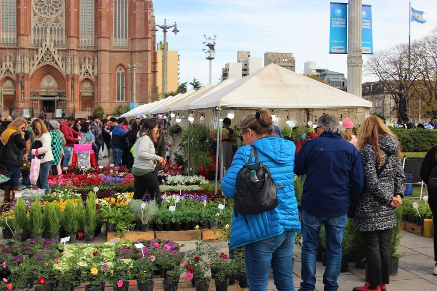 Flores y plantas en varios de los puestos, con una gran variedad de propuestas