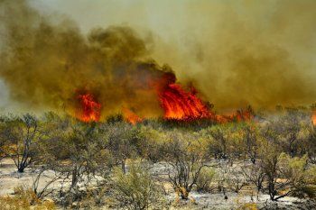 Más del 90% de los incendios forestales son producidos por intervenciones humanas