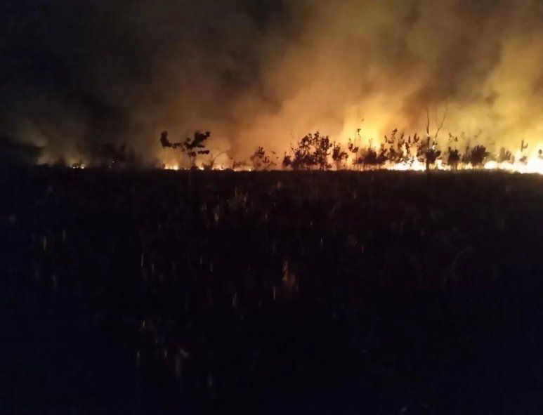 Incendio en el Parque Nacional Ciervo de los Pantanos. Imagen capturada el 16 de enero de 2023.