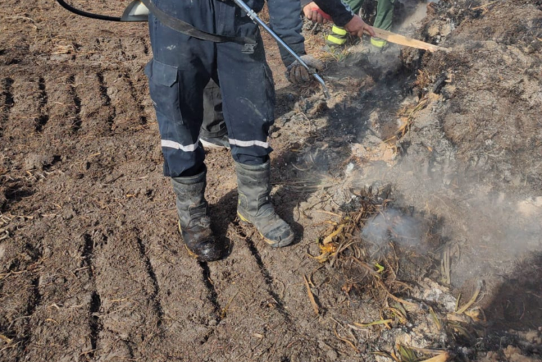 Incendio de pastizales a la vera de la Autopista Buenos Aires – La Plata: aconsejan circular con precaución