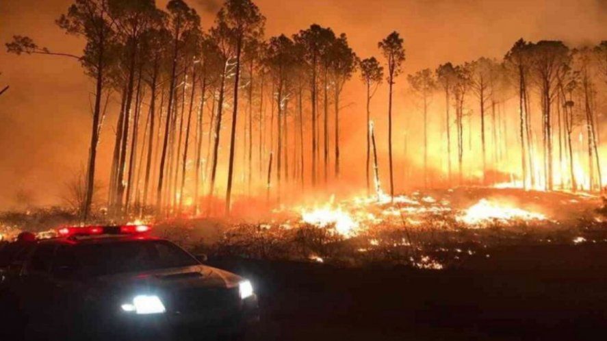 Incendios: buscan evitar las ventas de las tierras afectadas por el fuego
