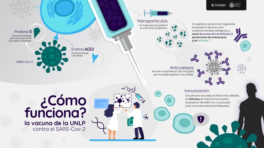 Histórico: la UNLP trabajará en la creación de una vacuna contra el coronavirus