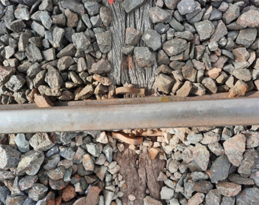 Las imágenes fueron anexadas a la resolución del juez federal de Azul que sostiene la prohibición del servicio de trenes en el tramo Cañuelas- Bahía Blanca