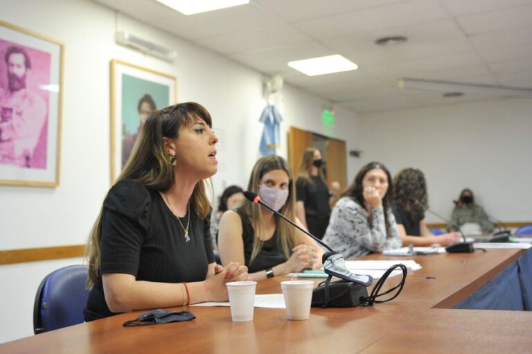 Ley Johanna, el proyecto anti violencia obstetricia que va a Diputados