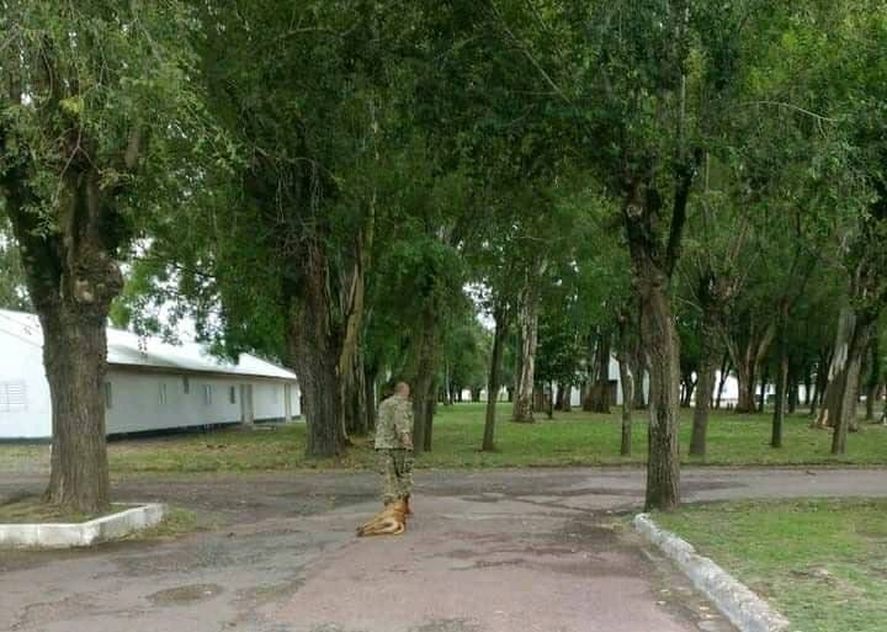La imagen del militar cuando arrastraba un perro hasta matarlo que se viralizó en Olavarría 