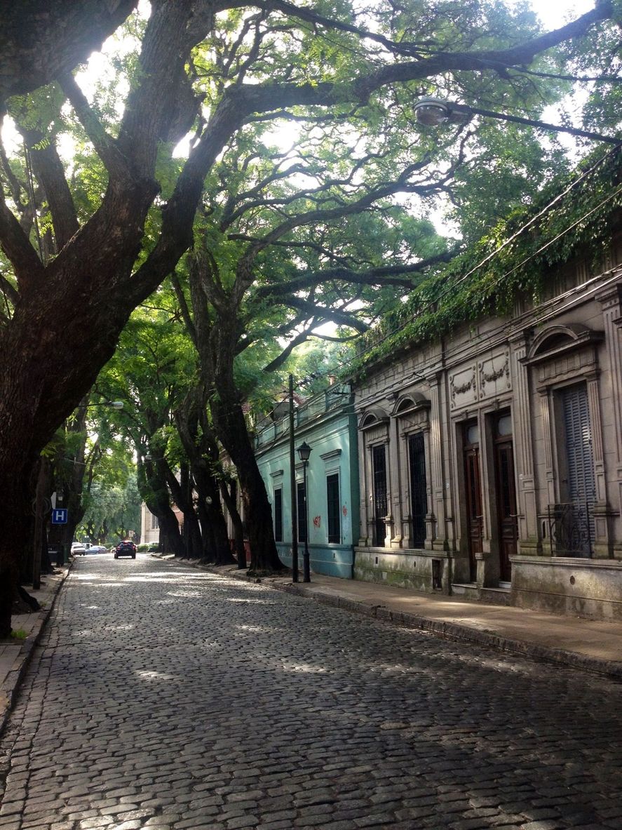 La Inteligencia Artificial recomienda conocer en la Provincia de Buenos Aires, a la hora de hacer turismo, entre otros lugares las calles empedradas del Partido de San Isidro
