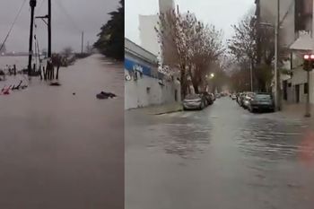 Tras las tormentas, mirá las fotos y videos de la jornada