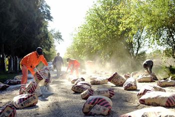 Habrá cortes y desvíos por las obras en La Plata