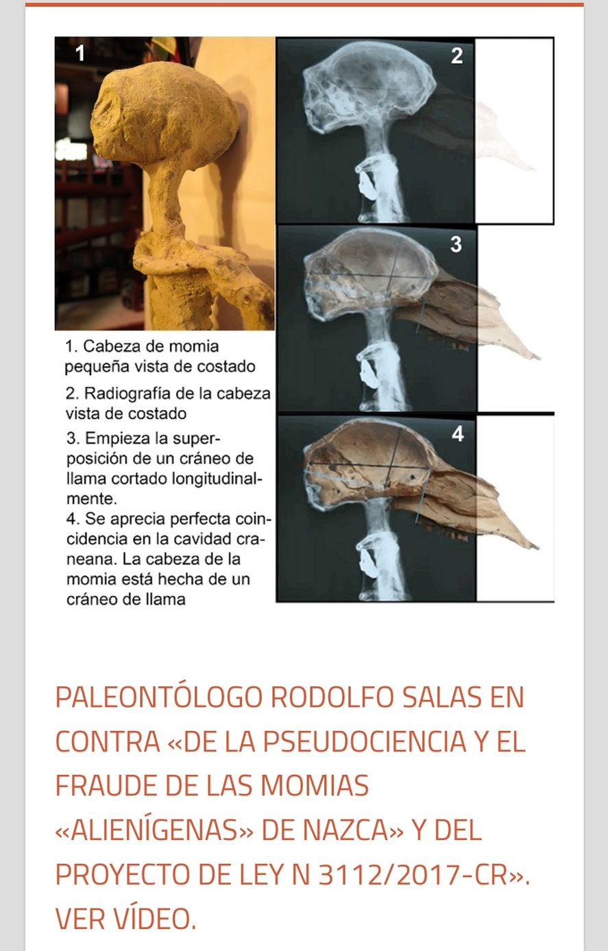 La publicación que explica el origen de las supuestas momias de extraterrestres encontradas en Perú, y presentadas en el Congreso de México. Las burlas por este hecho son inacabables