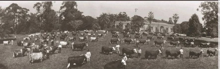 La puerta del Parque Pereyra Iraola elegida como una de