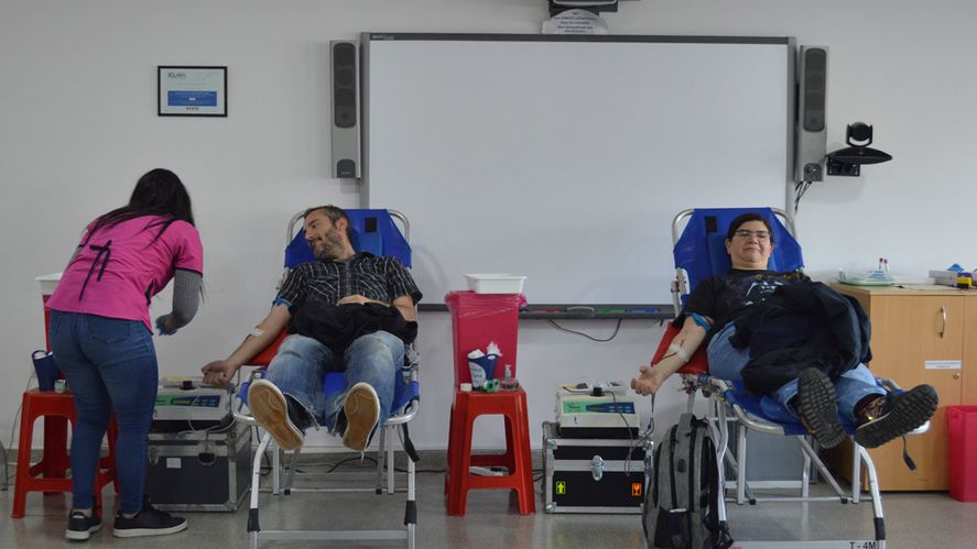 Día Nacional del Donante de Sangre: 22 de cada 1.000 bonaerenses son donantes voluntarios. Día Nacional del Donante de Sangre: 22 de cada 1.000 bonaerenses son donantes voluntarios.