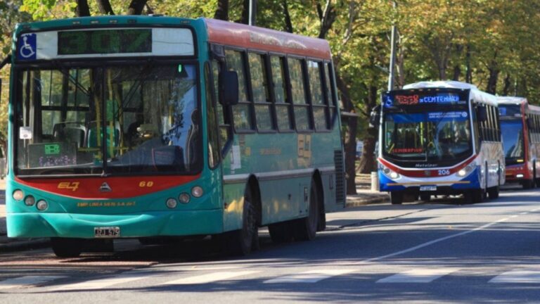 Laura Aon, directora del Observatorio de Movilidad UNLP: “Impulsamos generar una manera de llegar con transporte público masivo a toda la microregión para que se empiece a reemplazar el uso del auto”