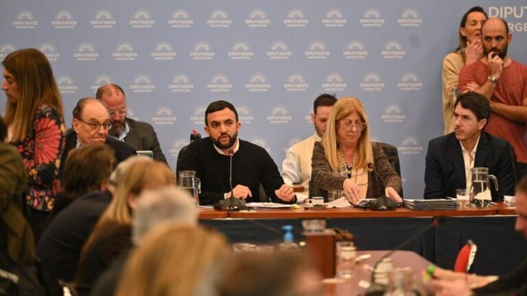 Se vuelve a tratar la Ley de Humedales en Diputados
