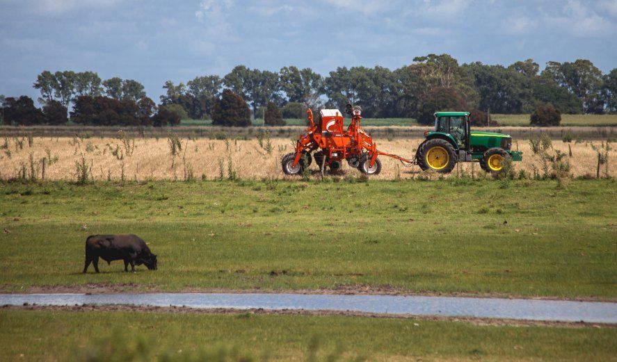 Actividad agrícola en Lezama