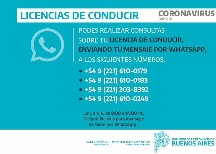 Pueden hacerse consultas sobre trámites vinculados a vigencia, pérdida y vencimientos de licencias de conducir por WhatsApp