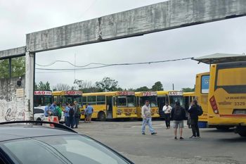 colectivos: tres lineas estan de paro porque volvieron a agredir a un chofer