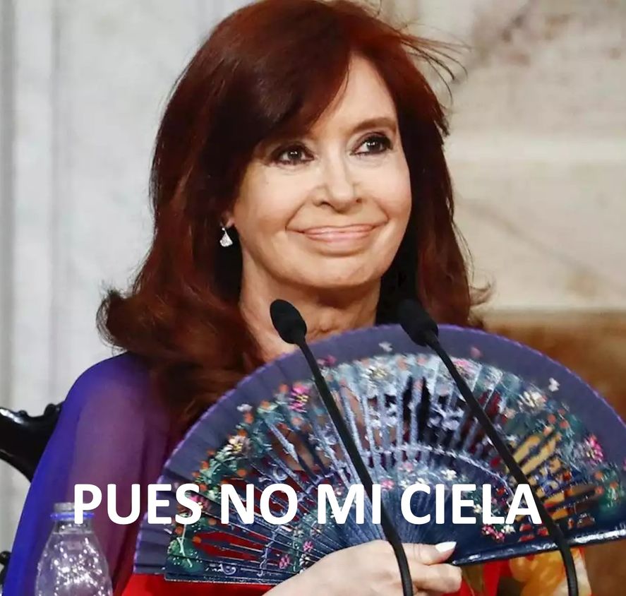Los memes por la jugada que adjudican a Cristina Kirchner de la división del bloque del Senado Nacional para obtener un representante más al Consejo de la Magistratura 