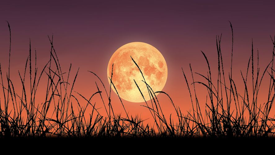Durante septiembre se podrá ver la Luna de Cosecha desde todo el país. 