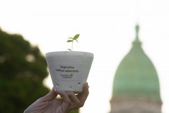 La reglamentación que permite el autocultivo de cannabis para uso medicinal fue publicada este jueves