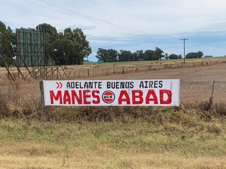 ¿Facundo Manes candidato? La última apuesta de la UCR bonaerense