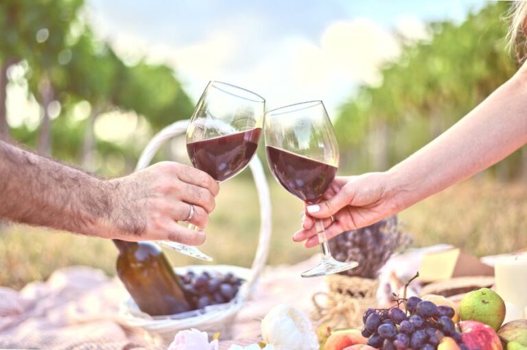 Enoturismo en la Provincia: viñedos y bodegas para visitar