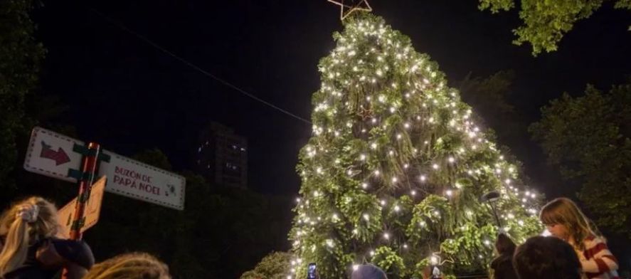 El 8 de diciembre será el encendido del árbol de Navidad y se transmitirá en vivo por las redes del Municipio. Imagen: Región Mar del Plata