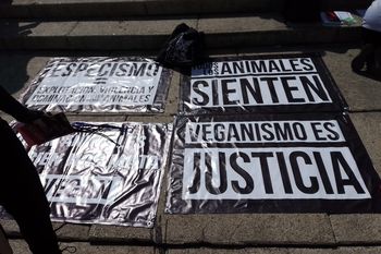 La convocatoria es para este viernes a las 18 horas en el Obelisco