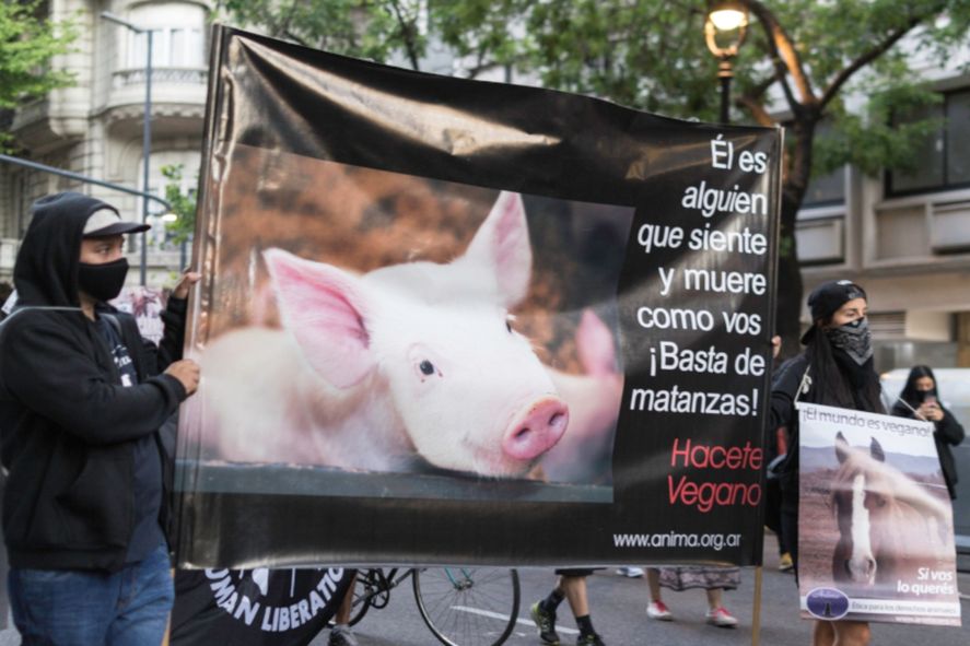 La marcha por el Día Internacional del Veganismo tendrá lugar en Plaza de Mayo