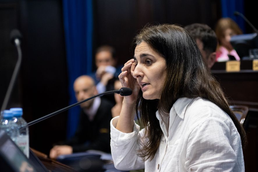 Maricel Etchecoin, una de las referentes de la Coalición Cívica en la Legislatura es destacada por sus compañeros del PRO