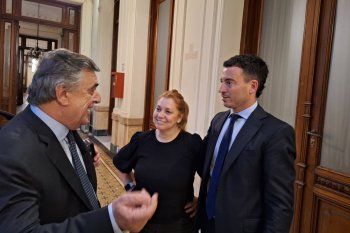 finalmente, facundo manes se corrio y la ucr volvio a unificarse en la camara de diputados