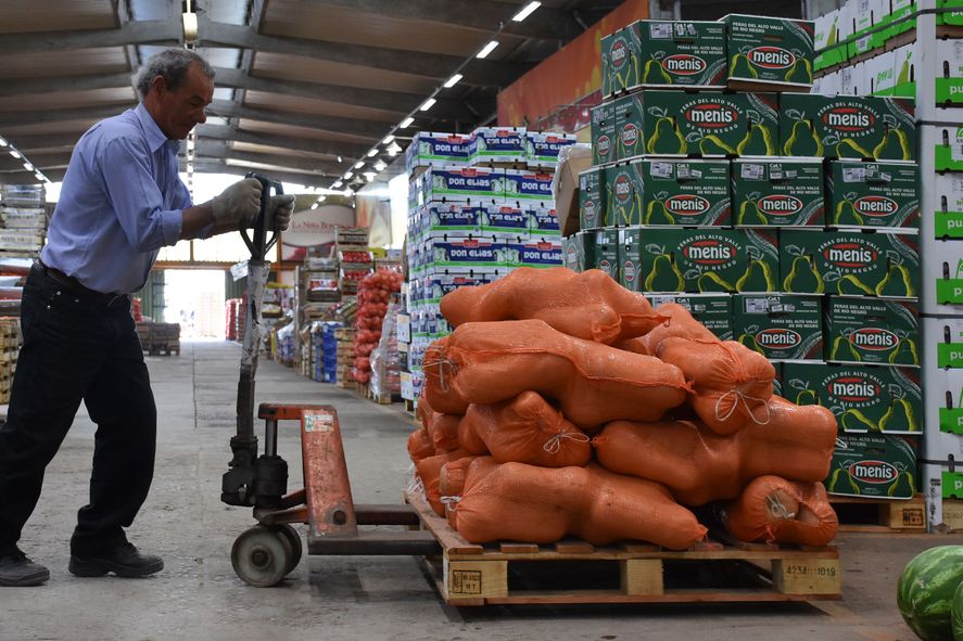 En el Mercado Central los sueldos en promedio de un trabajador afiliado a cargas y descargas es de $300.000.
