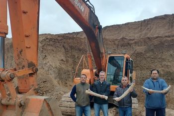 En San Pedro encontraron restos fósiles de un megaterio.