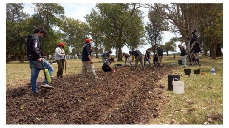La justicia rechazó el pedido de desalojo en el campo de Dolores Etchevehere