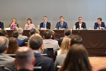 El Gobierno anunció un nuevo régimen de retenciones al cobre