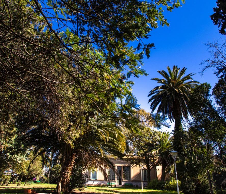 En la provincia de Buenos Aires, hay pueblos que invitan a realizar actividades que mezclan paisajes naturales, comidas típicas e historia. 