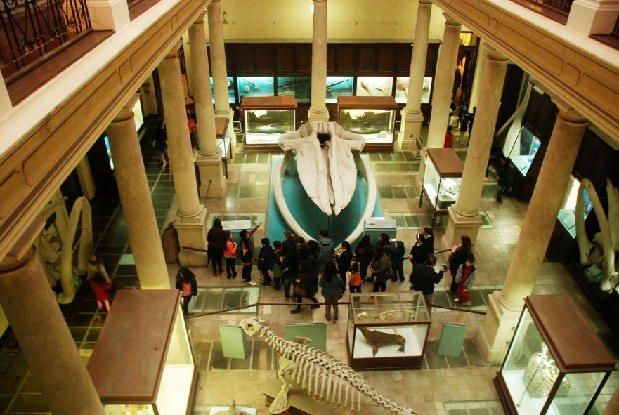 Este jueves, el Museo de La Plata cumple 132 años desde su inauguración