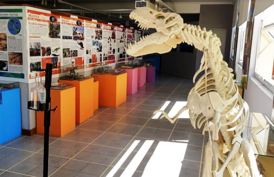 El Museo de Ciencias de Monte Hermoso posee alrededor de seis mil piezas entre las arqueológicas y paleontológicas.