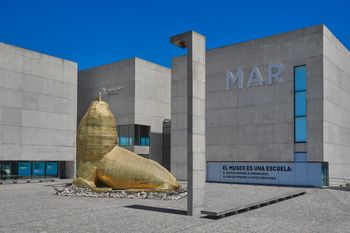 Conocé la agenda de verano del Museo de Mar del Plata.
