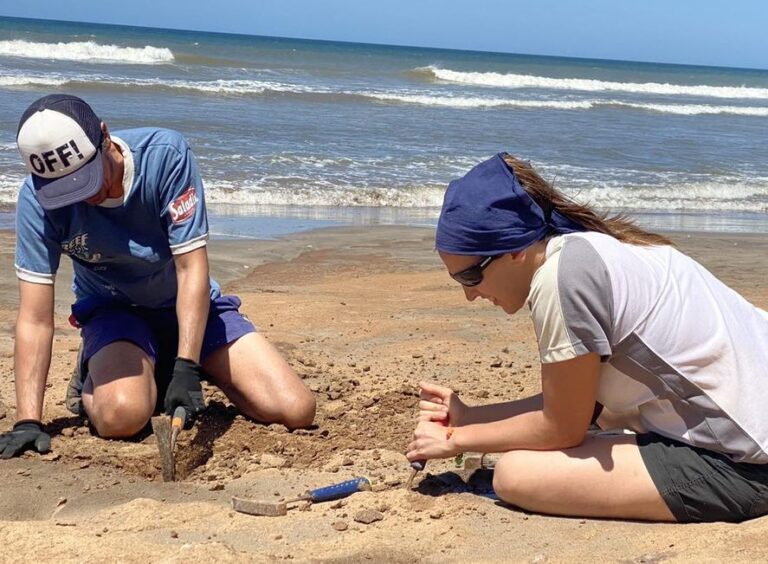 Paleontólogos por un día: en Mar del Plata realizarán una salida abierta para reconocer fósiles en las playas