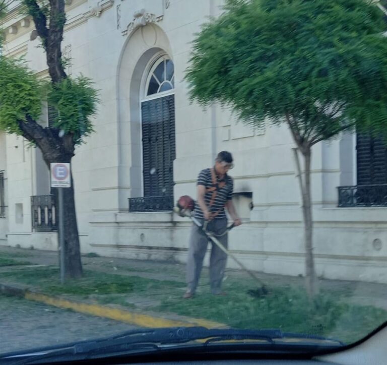 Saavedra: el intendente cortó el pasto en el municipio