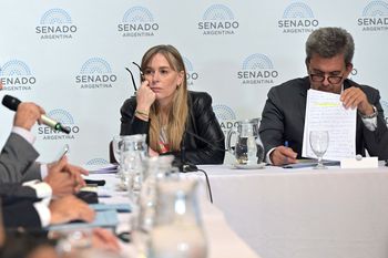 Juliana Di Tulli en contra de la postura opositora ante la jugada del oficialismo en el Consejo de la Magistratura