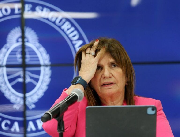 El lapidario mensaje contra los superpoderes del DNU que se volvió un “boomerang” para Patricia Bullrich