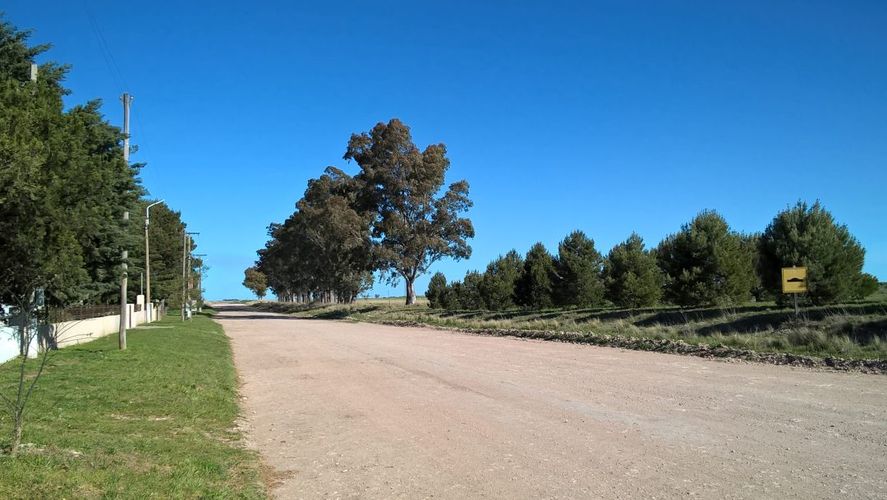 Pelicurá, el pueblo de 28 habitantes del partido de Tornquist, donde la docente Natalí Melo le da clases a un solo alumno. 